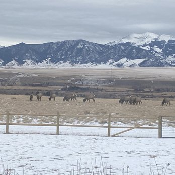 Invisible Fence - New fencing. - Pet Training Near Me - Bozeman, Montana