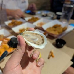 Shucks Pacific Fish House & Oyster Bar - A delicious oyster