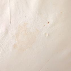Ramada Limited Quesnel - All the sheets looked like this