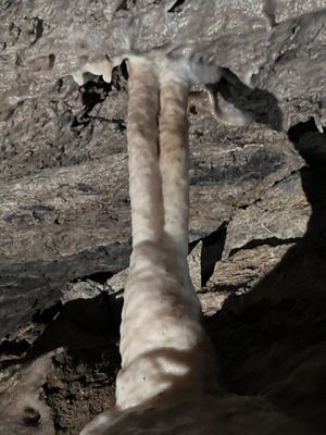 Oregon Caves National Monument & Preserve by null