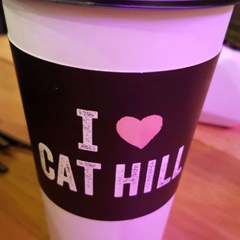 NEKO: A Cat Cafe - Themed Cafes Near Me - Seattle, Washington NEKO: A Cat Cafe - Themed Cafes Near Me - Seattle, Washington