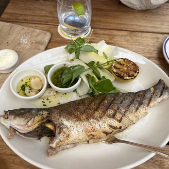Clark's Oyster Bar - Whole Oak Grilled Mediterranean Branzino - Desserts Near Me - Montecito, California Clark's Oyster Bar - Whole Oak Grilled Mediterranean Branzino - Desserts Near Me - Montecito, California