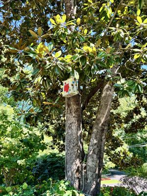 Muhammad Ali's Grave by null