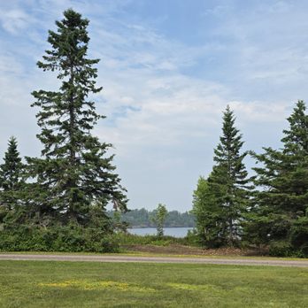 Precision Clearing Services - The resort owner wanted a large area of overgrown brush cleared to reopen the view to the lake. - Tree Services Near Me Precision Clearing Services - The resort owner wanted a large area of overgrown brush cleared to reopen the view to the lake. - Tree Services Near Me