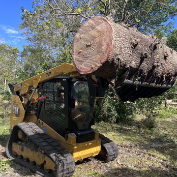 Alfaro's Tree & Dumpster Services - We also have a skid steer for big trees!! This was an emergency job in the 2022 Florida Hurricane - Tree Services Near Me Alfaro's Tree & Dumpster Services - We also have a skid steer for big trees!! This was an emergency job in the 2022 Florida Hurricane - Tree Services Near Me