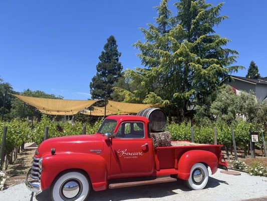 Benessere Vineyards by null