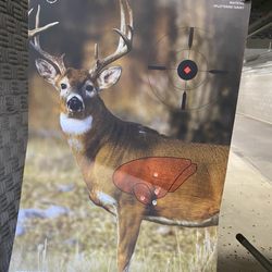 Hangtown Range - Buck target from 25 yards. 2.5 magnification.
