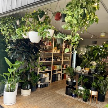 The Plant Gays - Gift Shops Near Me - Columbus, Ohio The Plant Gays - Gift Shops Near Me - Columbus, Ohio