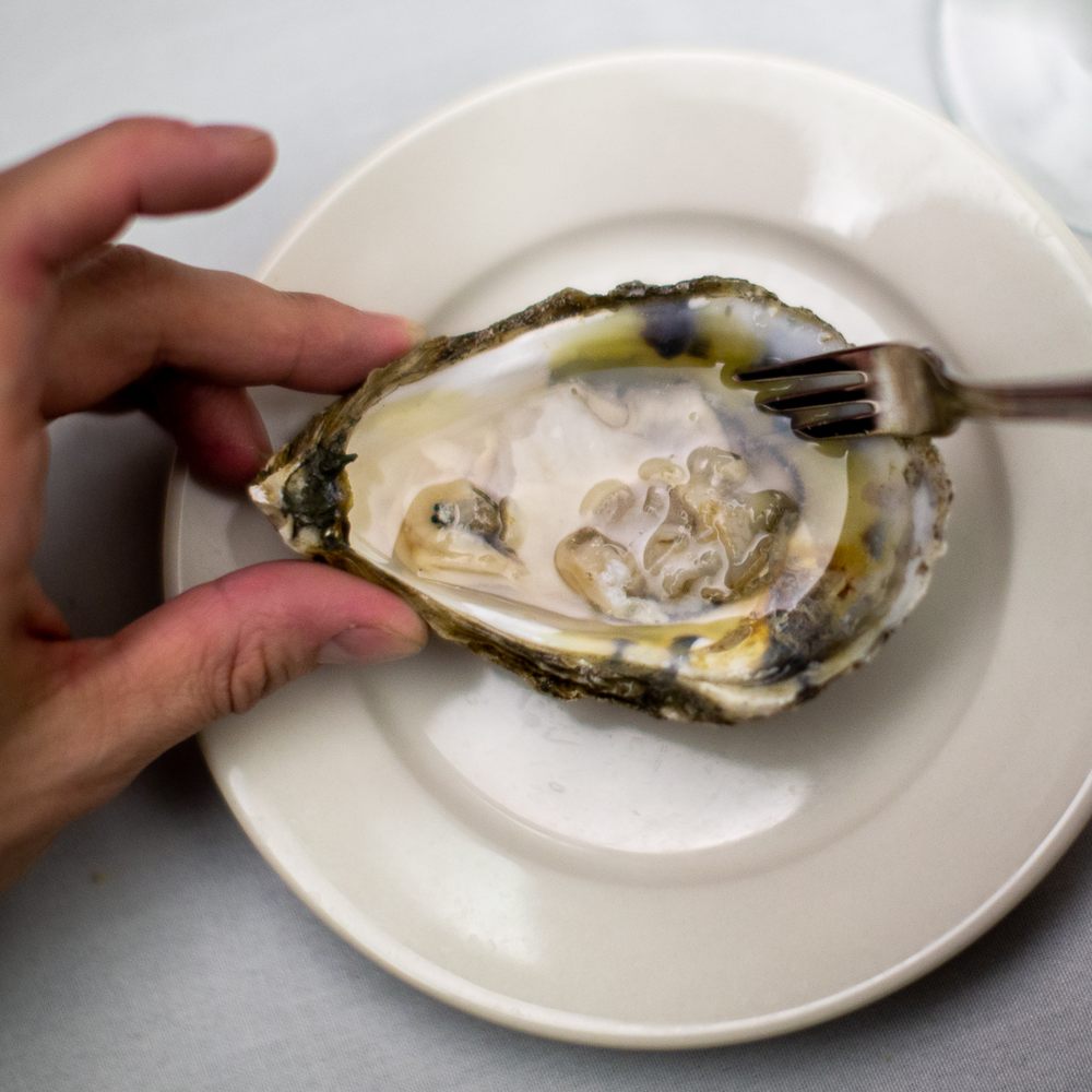 Jack's Oyster House - East Coast... all the way - Seafood Near Me - Albany, New York