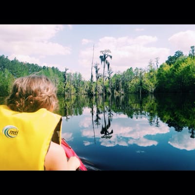 Laura S. Walker State Park by null