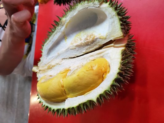 Durian 36 by null