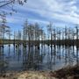 Photo of Goodale State Park