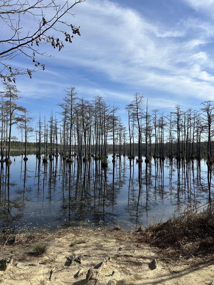 Goodale State Park Logo