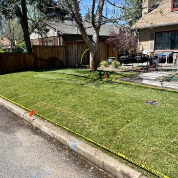 Mauricio Services Landscaping - After image- Colorado bluegrass installation - Landscaping Near Me Mauricio Services Landscaping - After image- Colorado bluegrass installation - Landscaping Near Me