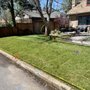 Photo of Mauricio Services Landscaping