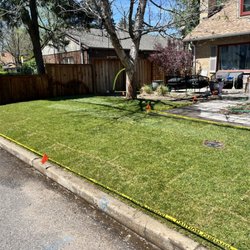 Mauricio Services Landscaping - After image- Colorado bluegrass installation