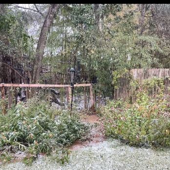 Landmark Fence and Deck - My old fence, including the chicken wire in the back - Fences & Gates Near Me Landmark Fence and Deck - My old fence, including the chicken wire in the back - Fences & Gates Near Me
