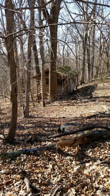 Meeman-Shelby Forest State Park by null