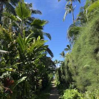 Waioli Beach Park - Parks Near Me - Hanalei, Hawaii Waioli Beach Park - Parks Near Me - Hanalei, Hawaii
