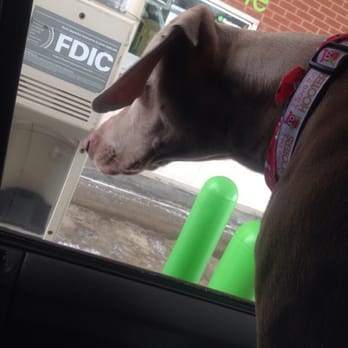 Huntington Bank - Our dog waiting patiently for his treat from the teller :) - Banks & Credit Unions Near Me - Aurora, Ohio Huntington Bank - Our dog waiting patiently for his treat from the teller :) - Banks & Credit Unions Near Me - Aurora, Ohio