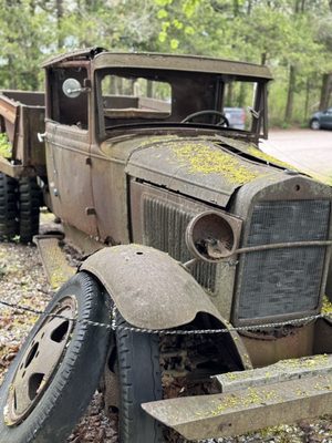 Fantastic Umbrella Factory by null