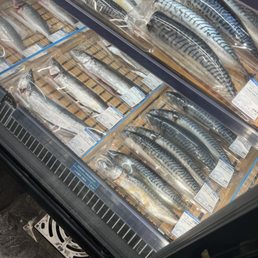 Mackerel types Mackerel types