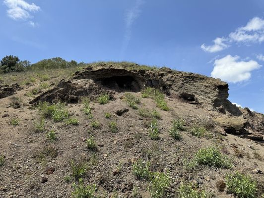 Vesuvius National Park by null
