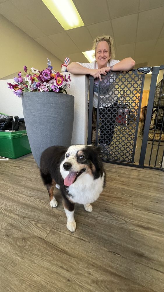 CLASSY K9 Updated July 2024 251 S Coltrane Rd, Edmond, Oklahoma