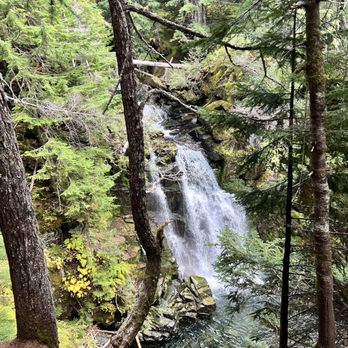 Mount Rainier National Park - Mount Rainier - Carter Falls - Parks Near Me - Ashford, Washington Mount Rainier National Park - Mount Rainier - Carter Falls - Parks Near Me - Ashford, Washington