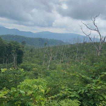 Roaring Fork Motor Nature Trail - View of mountains - Hiking Near Me