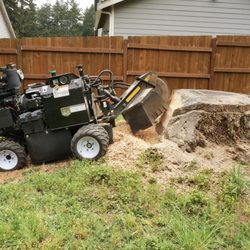 Brett's Stump Grinding - A 5' Douglas fir....