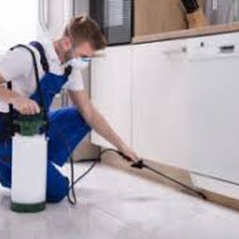 All State Pest Control - Pest Control Near Me