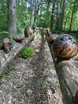 Château de la Bourdaisière by null