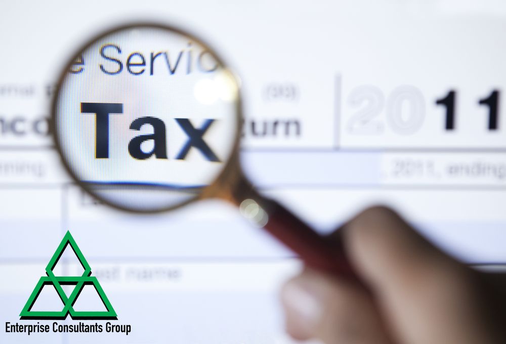 ECG Tax Pros - property tax consultant in Los Angeles, CA