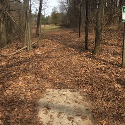 Robert Morris Park - Hole 6 tee