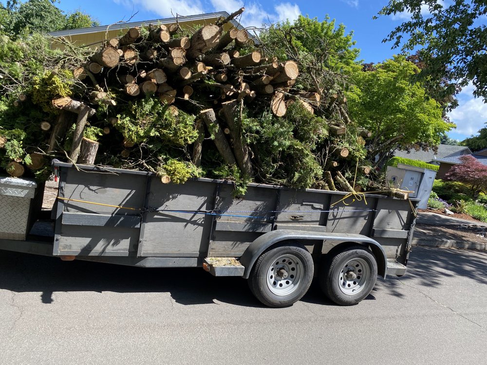 Clayton’s Yard And Garden Service - tree service in Eugene, OR