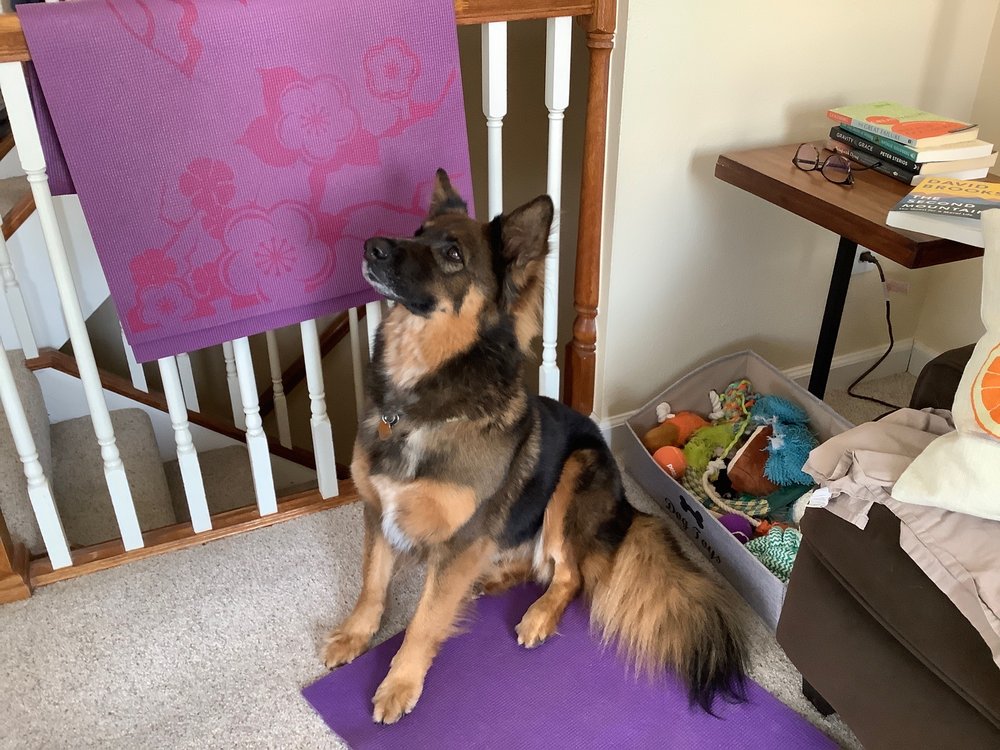 o Jupiter Florida Real Estate For Sale