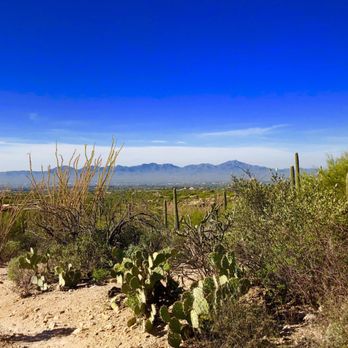 Pima Canyon - Hiking Near Me - Tucson, Arizona Pima Canyon - Hiking Near Me - Tucson, Arizona