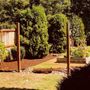 Photo of TLC Fencing