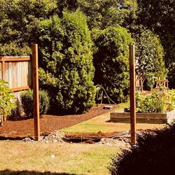 TLC Fencing - The posts they were  putting in between the cedar fence.  So nice and neat ... no clutter. Very organized crew.