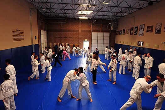 New Mexico Jiu-Jitsu Academy Logo