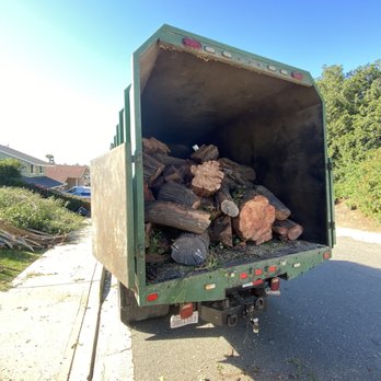 Paez Tree Service - Tree Services Near Me - Anaheim, California Paez Tree Service - Tree Services Near Me - Anaheim, California