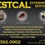 Photo of Pest and Termite Control