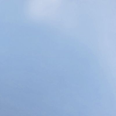 Downriver Canoe Company by null