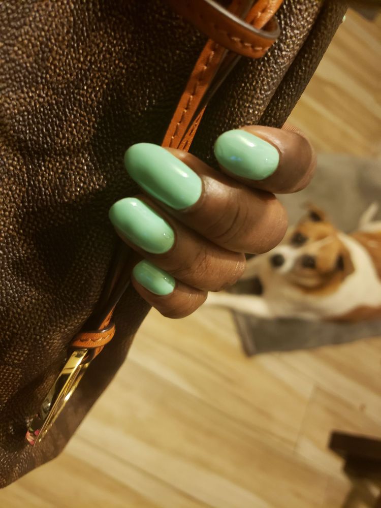 Bonita Hair and Nail Salon Logo