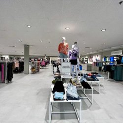 Ardene
