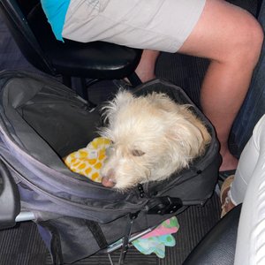 The Reunion Pub on Yelp