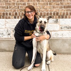 Peak K-9 Dog Training