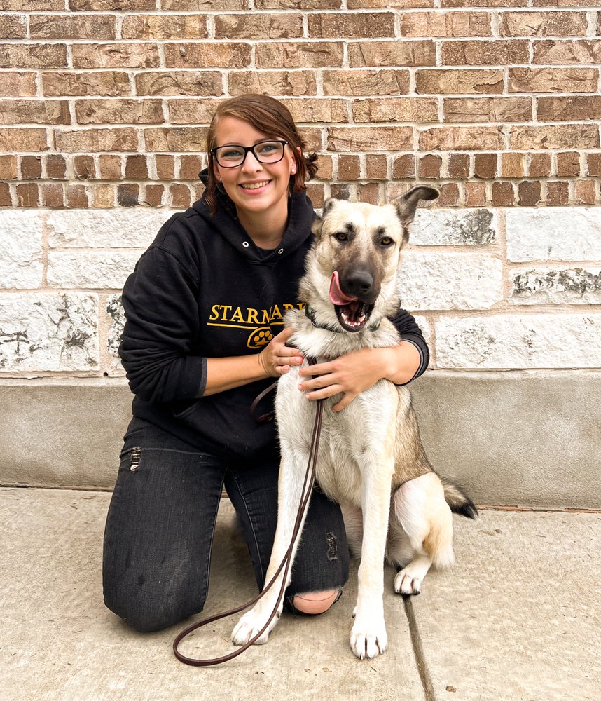 Peak K-9 Dog Training - pet boarding facility in Berthoud, CO