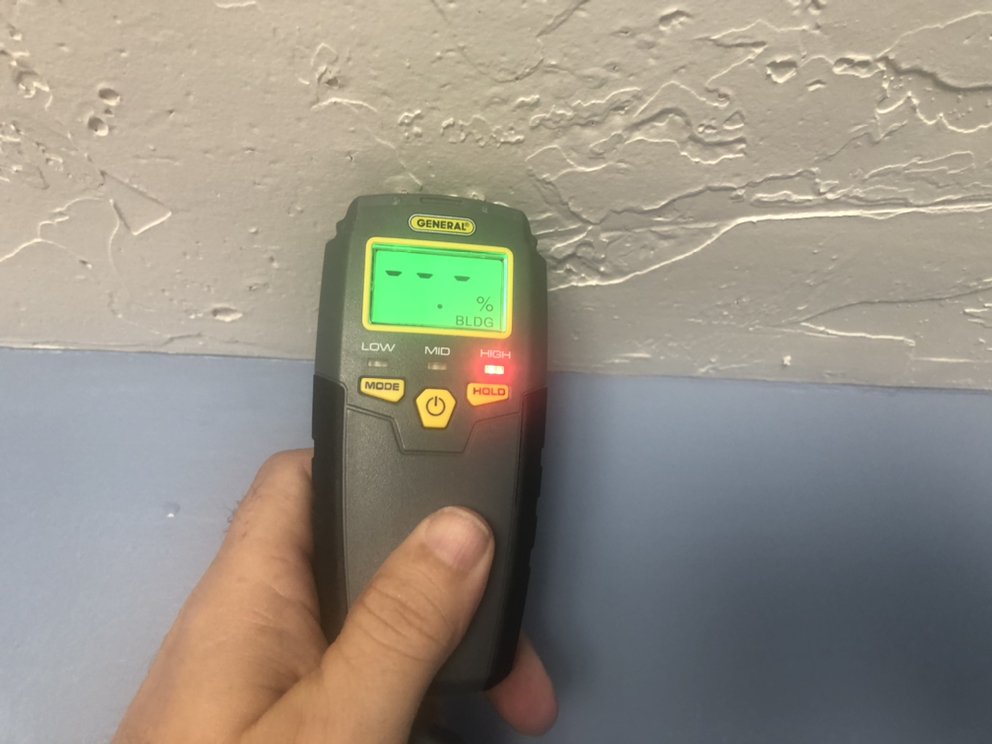 MLA Environmental - mold inspector in Los Angeles, CA